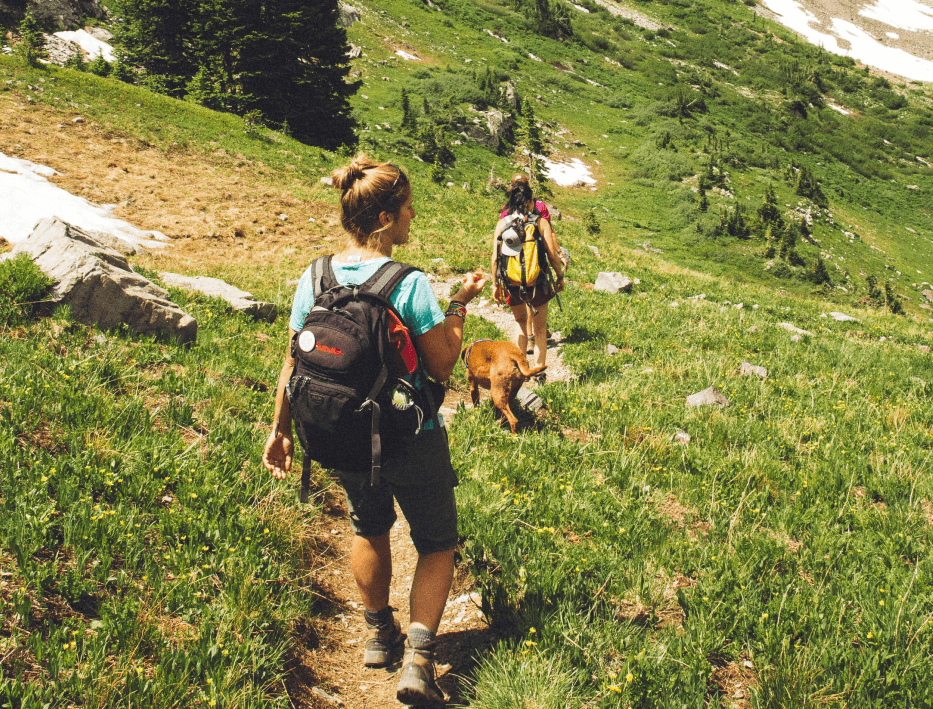 When Nutrition Becomes Power!