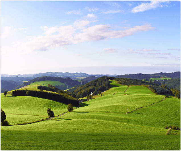 What about the future?