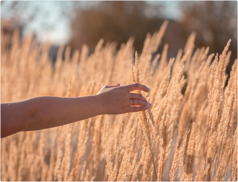 Caring For Mental Health: A Gentle Reminder